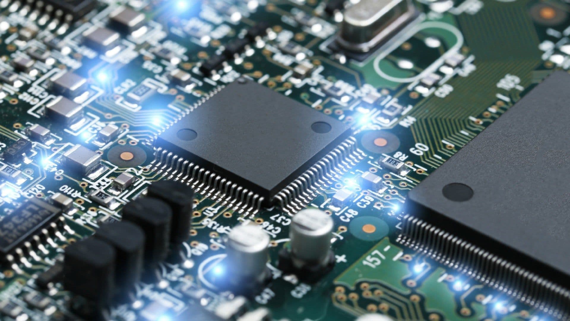 photologuephotos2023-04cual_es_la_importancia_del_microchipjpg