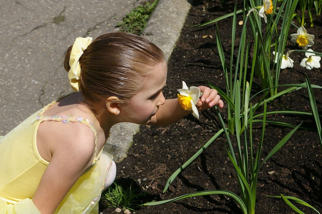 photologuephotos2023-08girl-380855_1280jpg