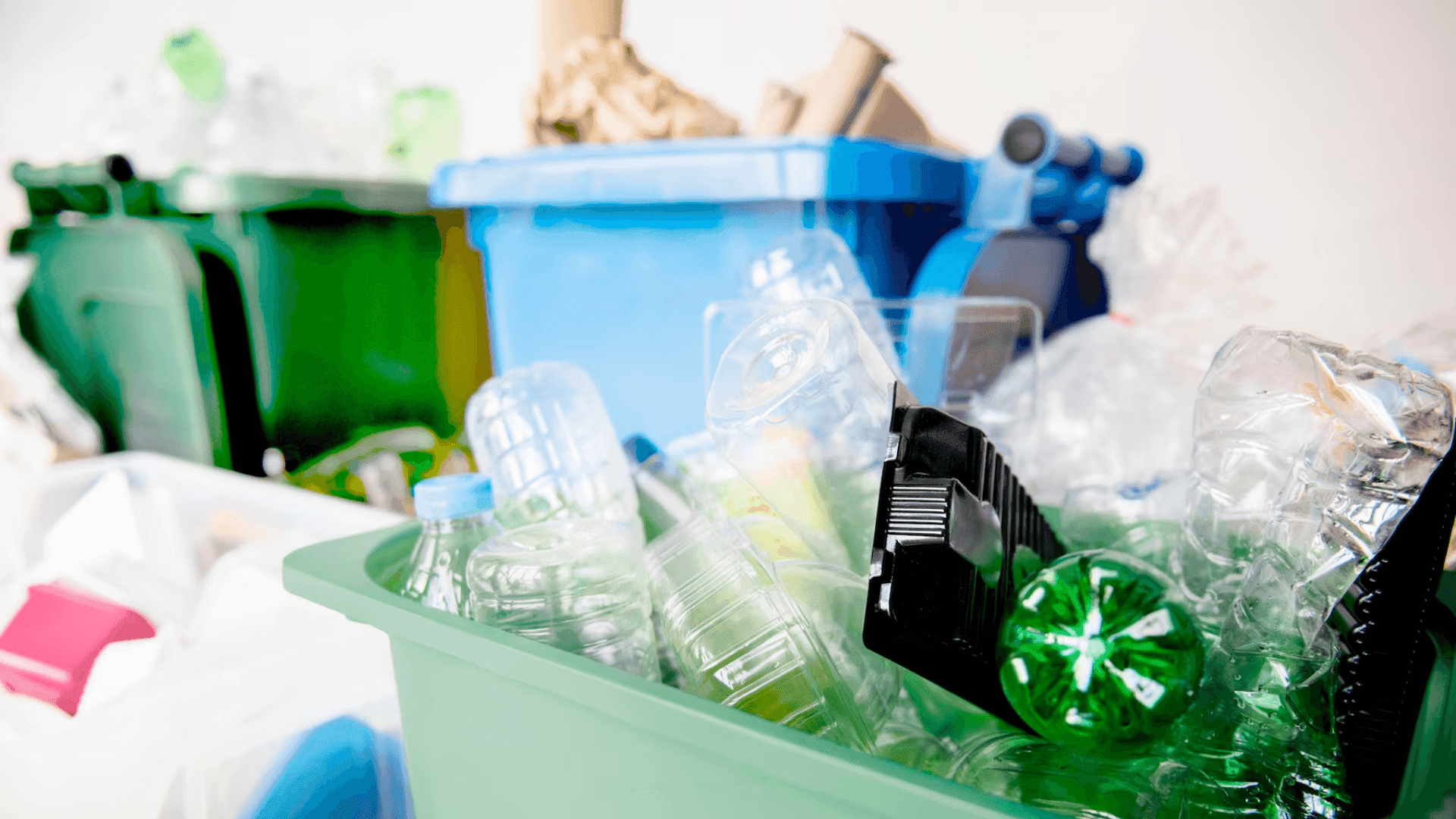 photologuephotos2023-07plasticopng