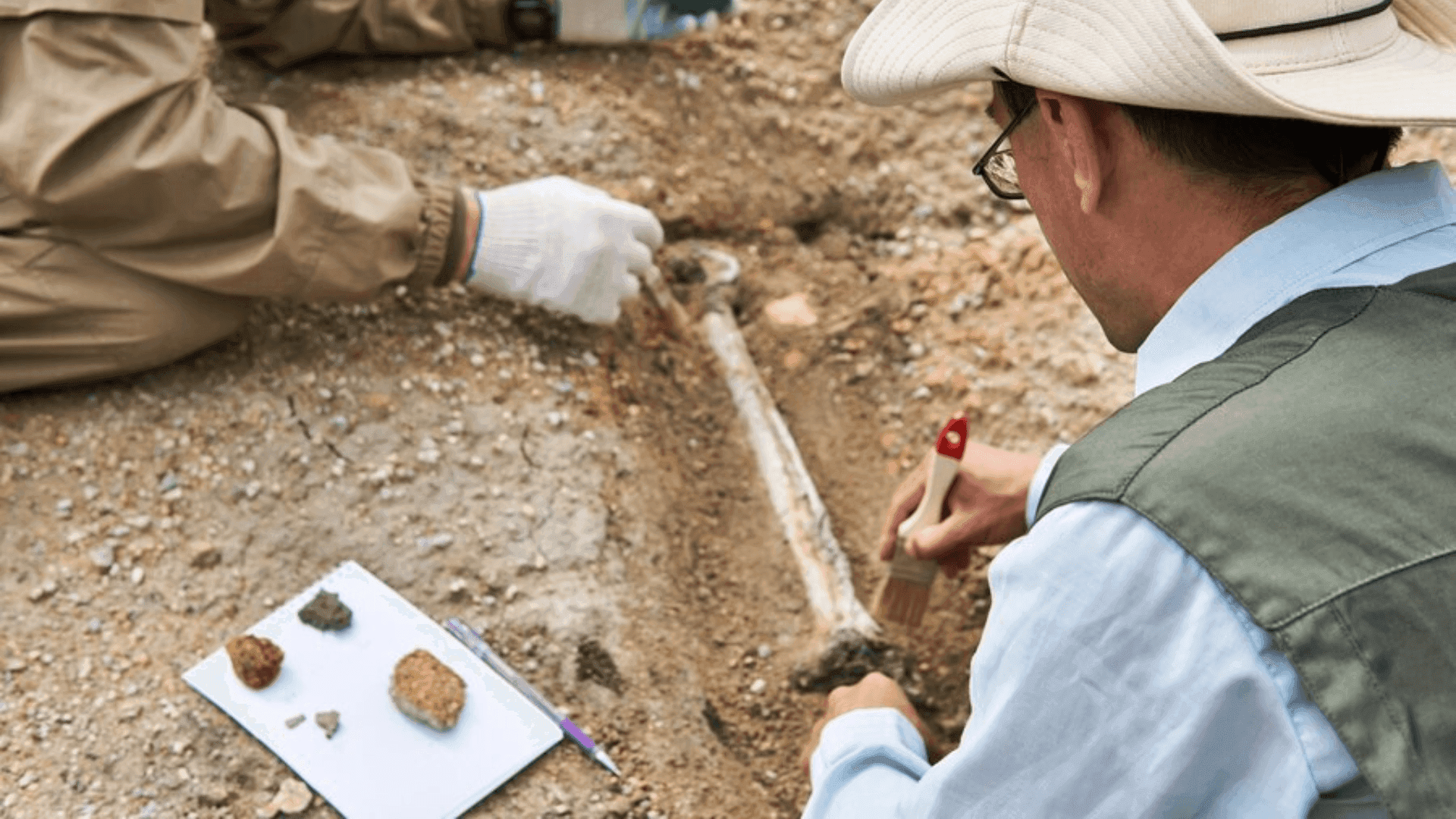 photologuephotos2023-07excavacion_freepikpng