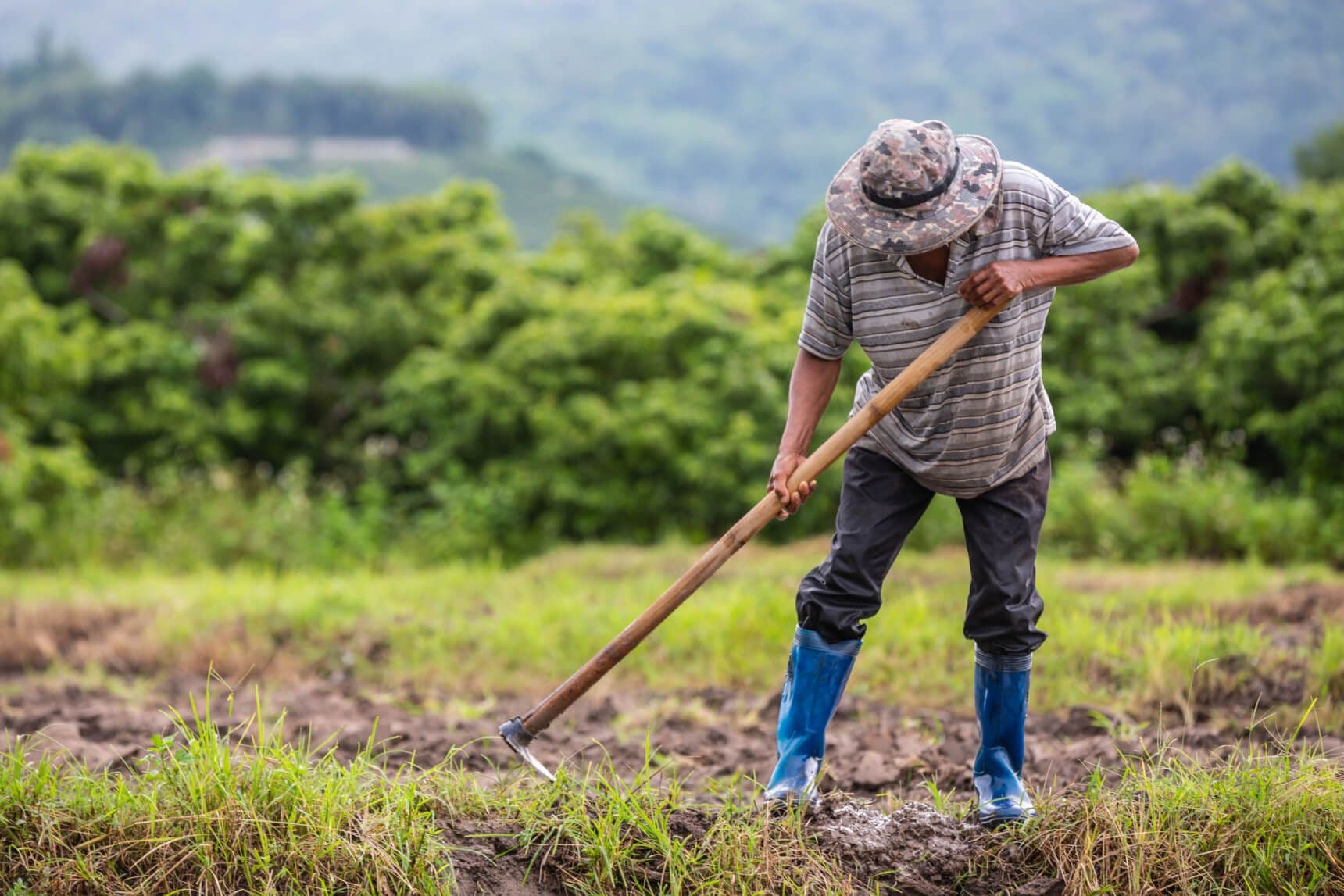 photologuephotos2023-08agricultor-que-usa-pala-cavar-suelo-sus-campos-arroz_1_1jpg