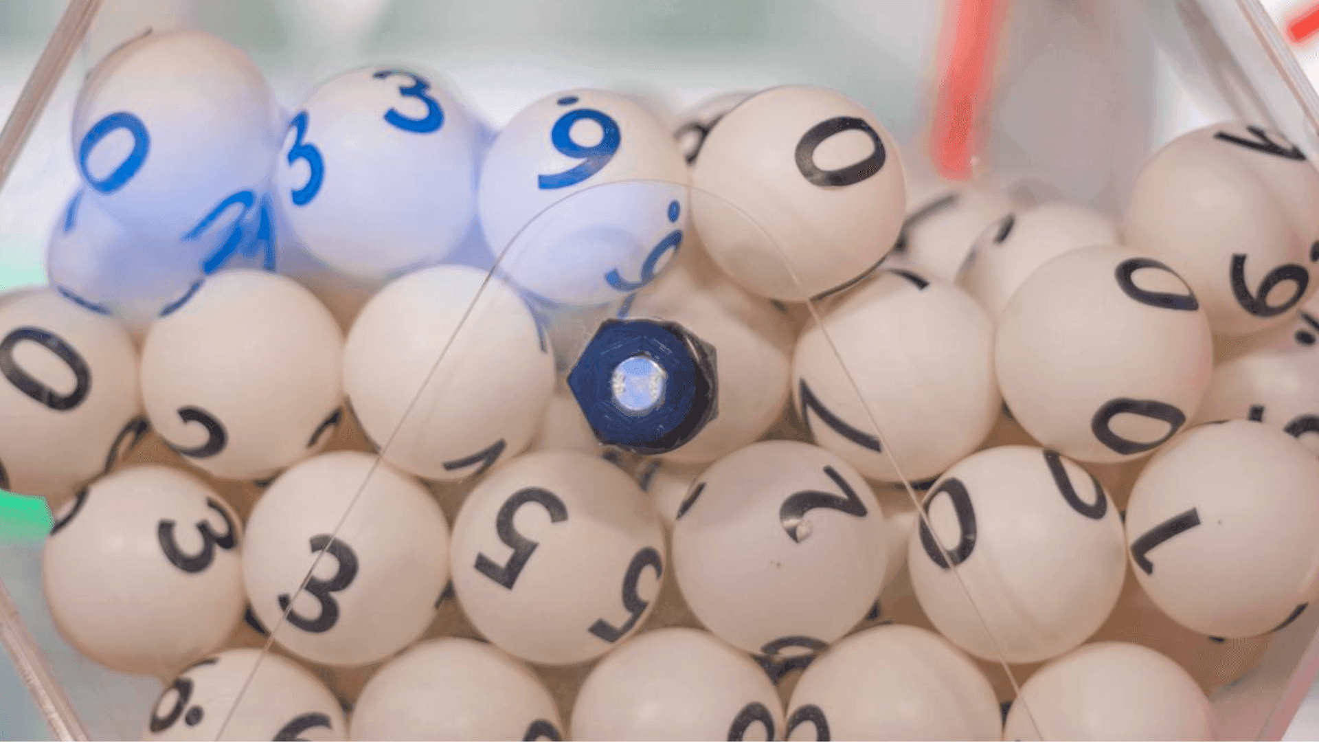 photologuephotos2023-09loteria_1png photologuephotos2023-09loteria_1png