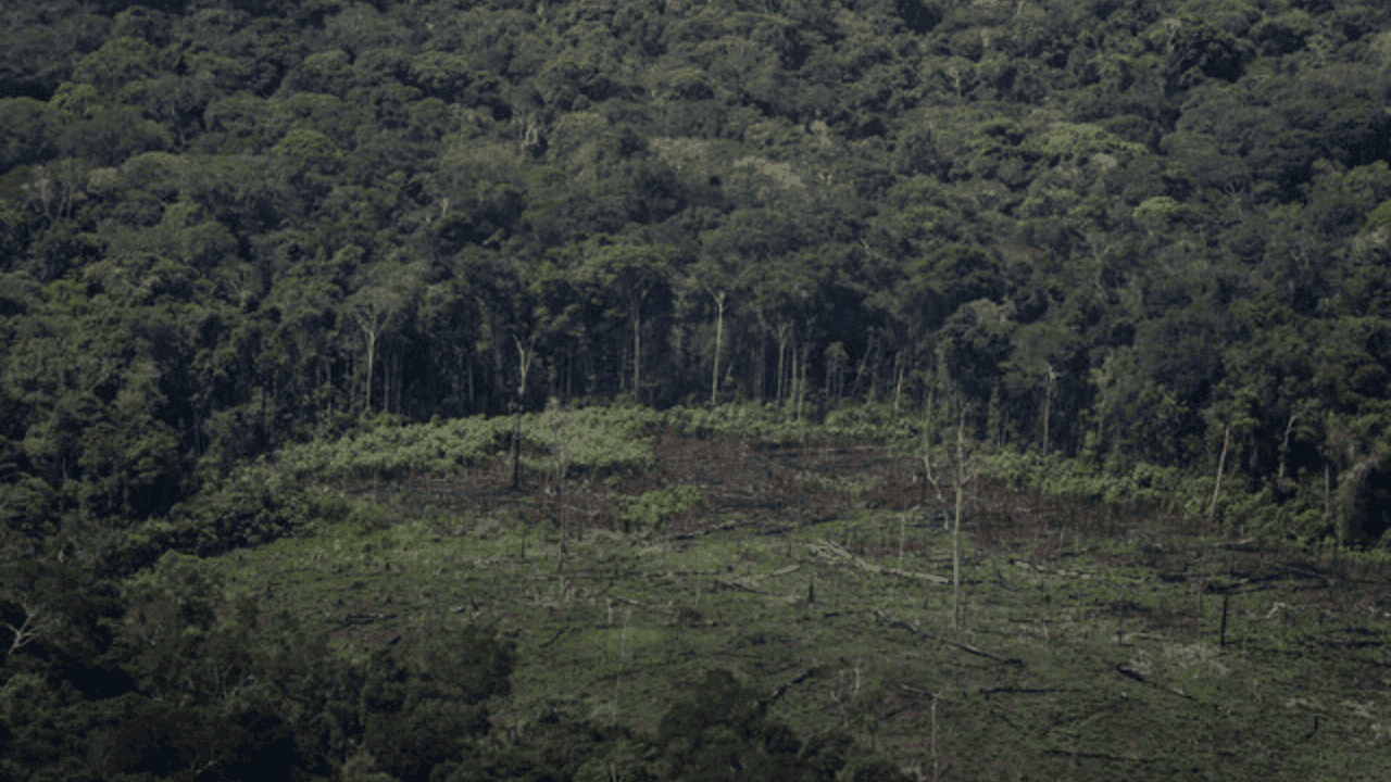 photologuephotos2023-11amazonaspng