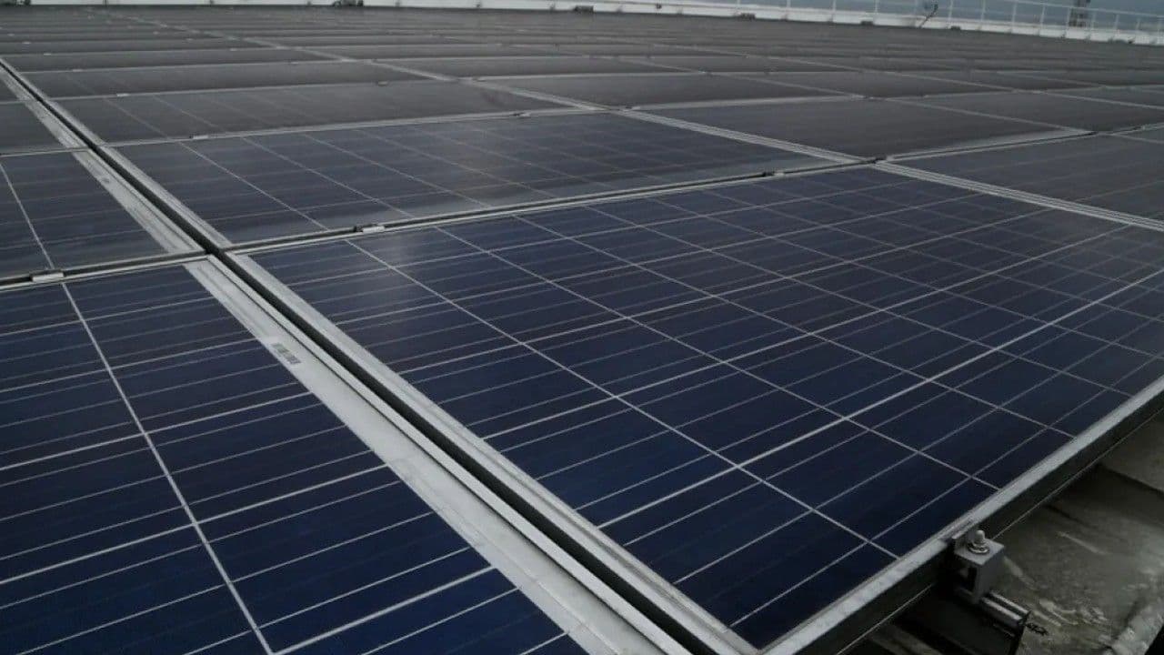 photologuephotos2024-05transicionenergetica2jpg