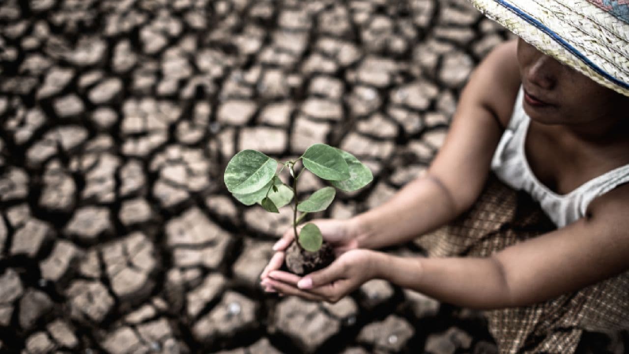 photologuephotos2024-04crisis-climatica-impacta-ninos-mas-pobresjpg