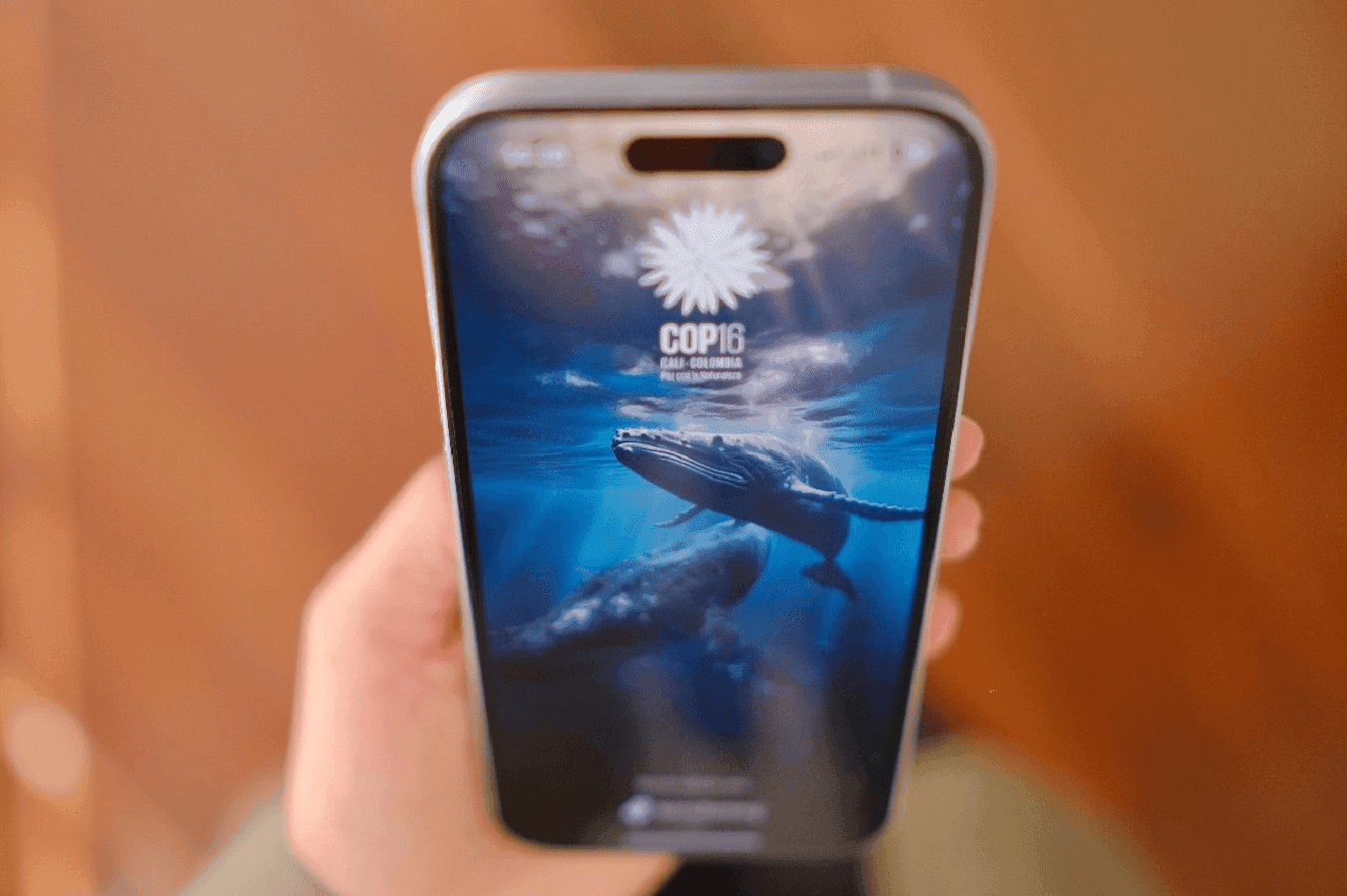 photologuephotos2024-10app_cop16_minticpng photologuephotos2024-10app_cop16_minticpng