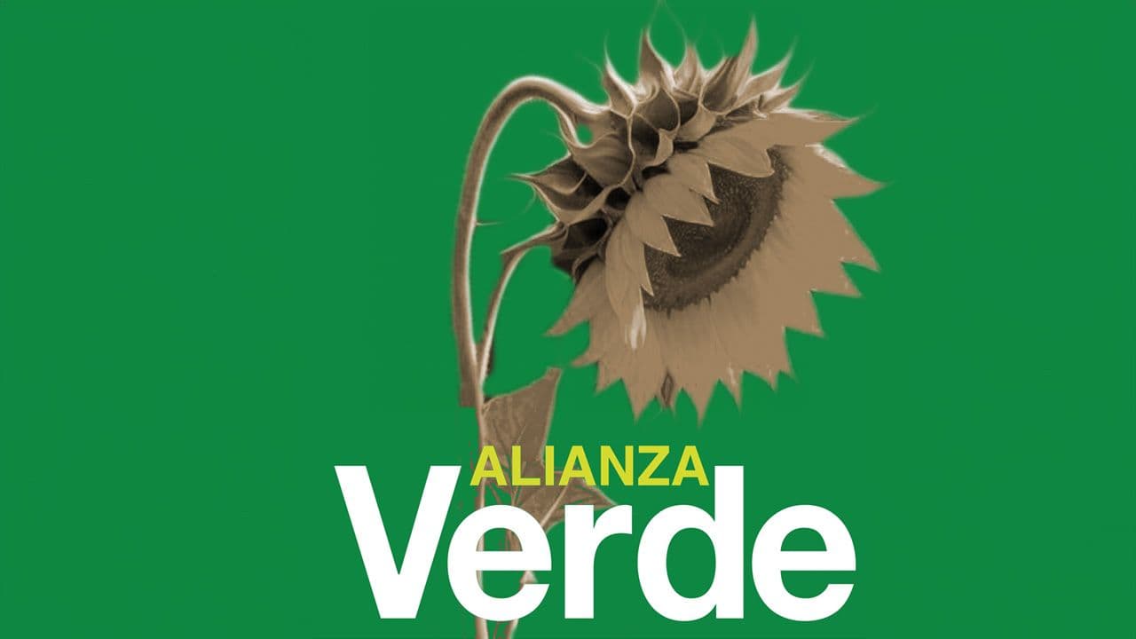 photologuephotos2024-08cms_alianza_verdejpg photologuephotos2024-08cms_alianza_verdejpg