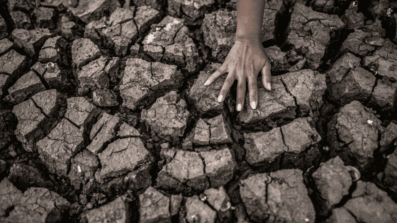 photologuephotos2024-10calentamiento-global-atropogenicopng