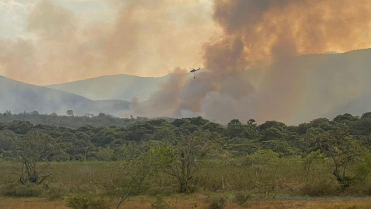 photologuephotos2024-09incendios_forestales_0jpg