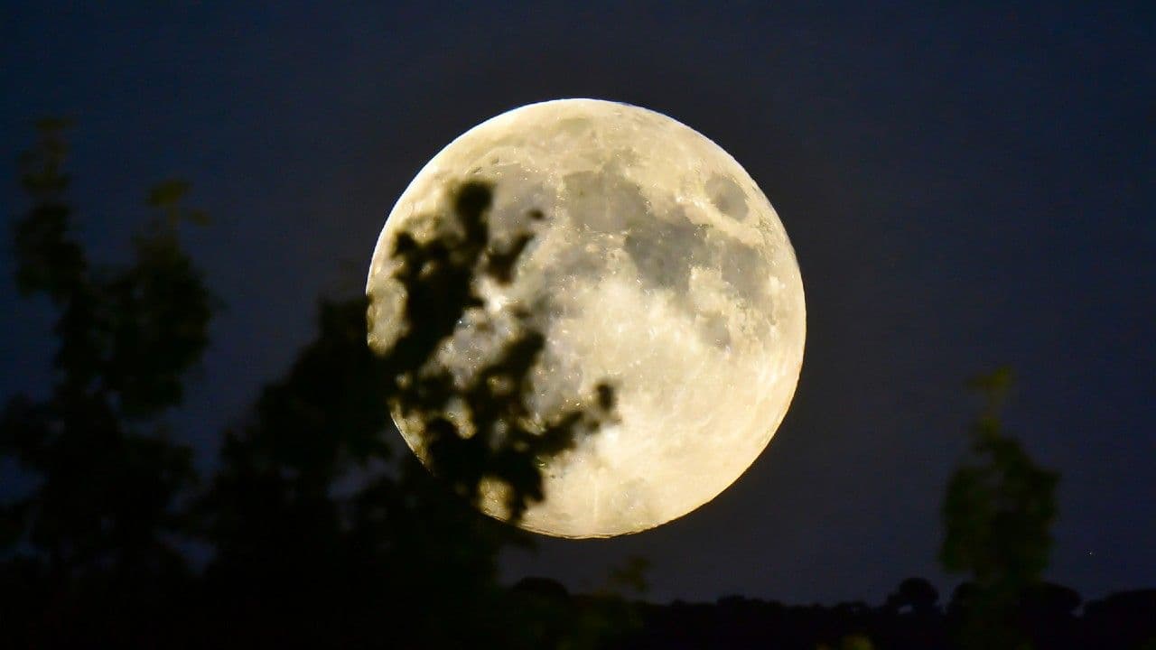 photologuephotos2024-11luna_castor_noviembrejpg