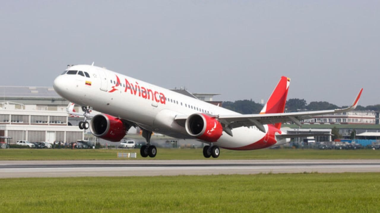 photologuephotos2024-11avianca_alerta_por_estafas_en_compra_de_tiquetesjpg