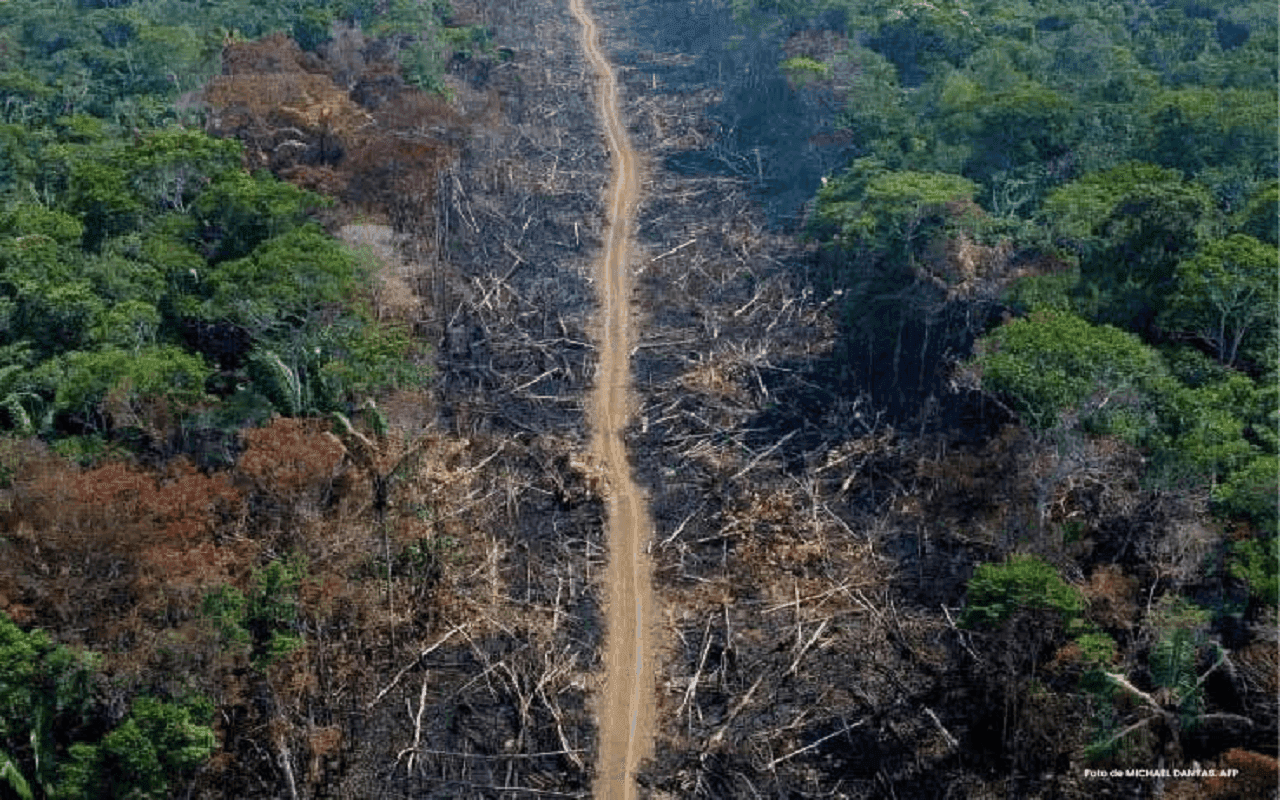 photologuephotos2025-05amazonia_deforestacion_procuraduria_0jpeg