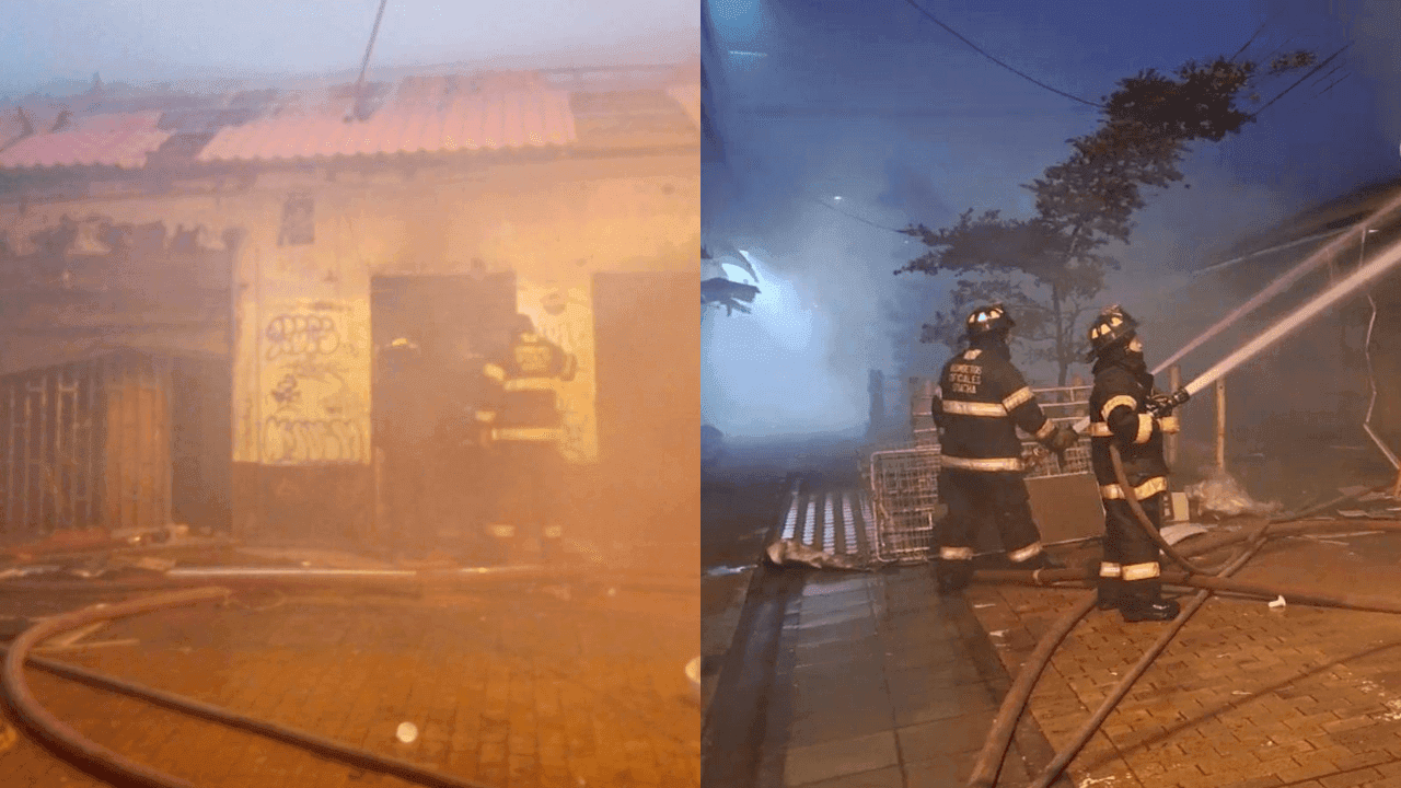 photologuephotos2025-03tamano_de_fotos_45png