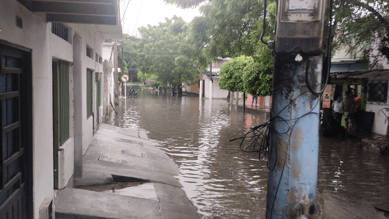 photologuephotos2025-06tamano_de_fotos_8_0png