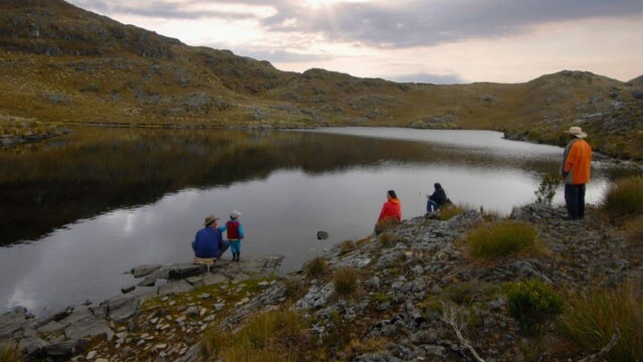 photologuephotos2025-07tribunal_de_santander_reconocio_al_paramo_de_santurban_como_sujeto_de_derechos_por_que_es_clave_para_su_proteccionjpg