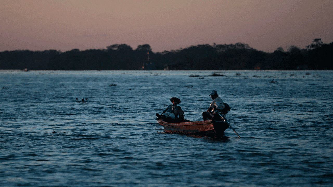 photologuephotos2025-08amazonas-1png photologuephotos2025-08amazonas-1png