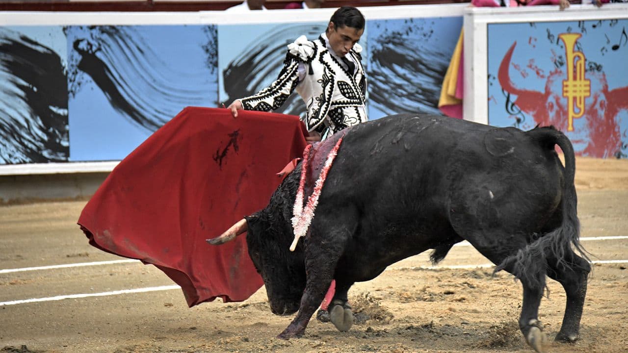 Corridas de toros.
