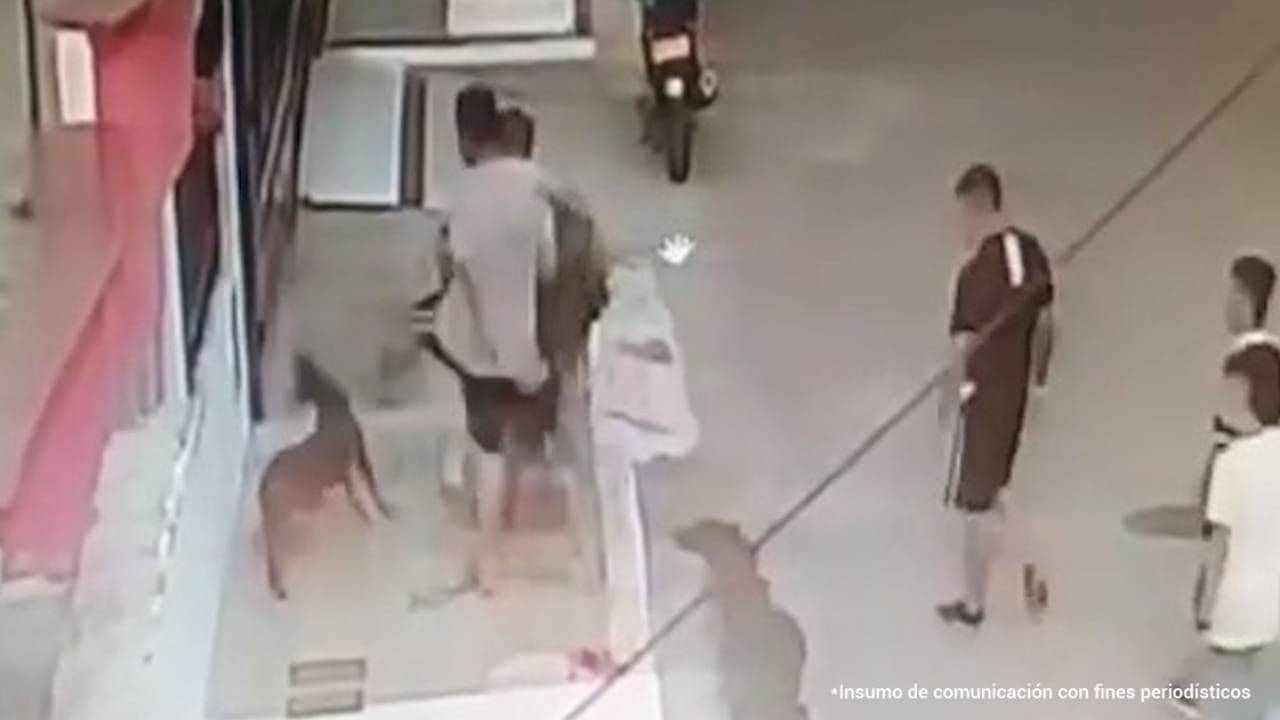 Maltrato animal