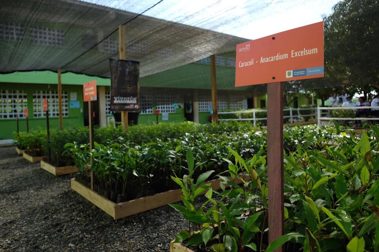 MinAmbiente entrega viveros