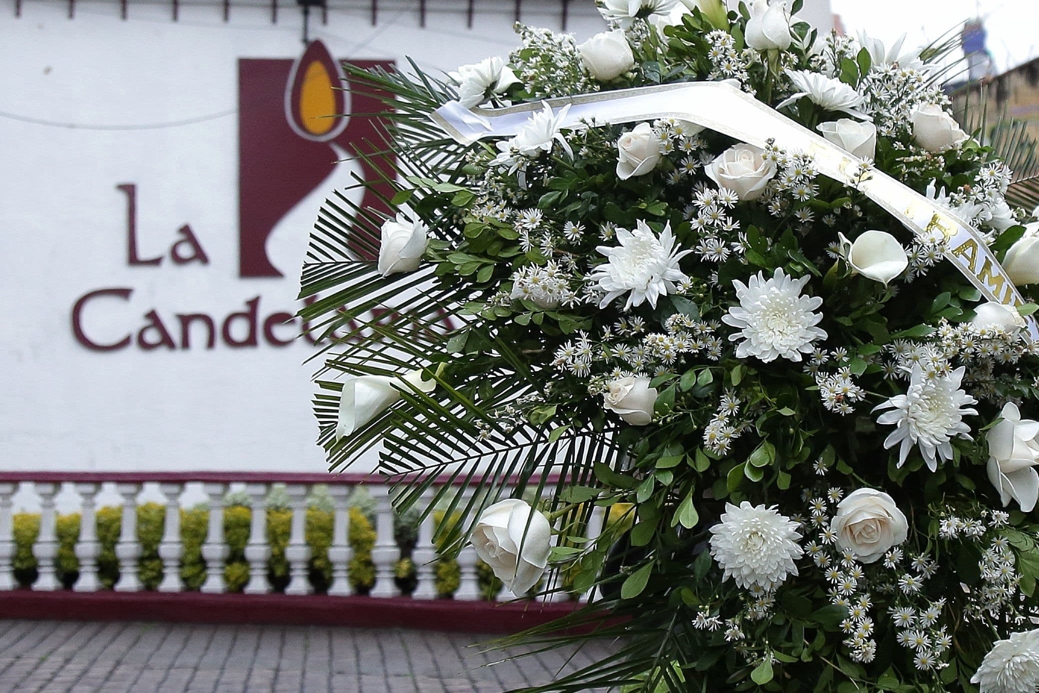 Candelaria floras Candelaria floras