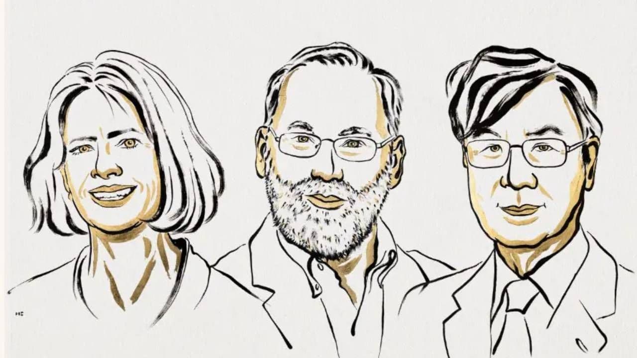 Mary E. Brunkow, Fred Ramsdell y Shimon Sakaguchi