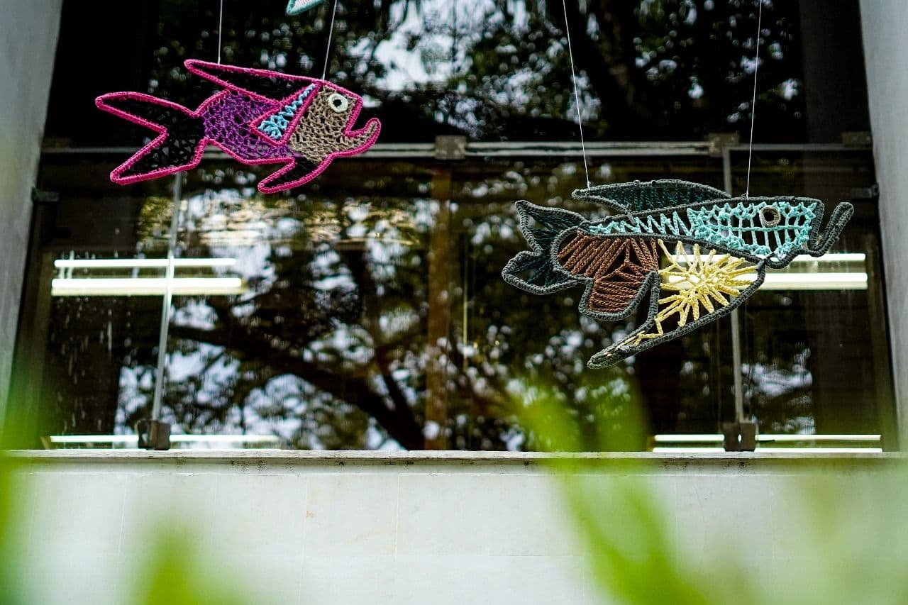 Barracudas tejidas sobre Barranquilla