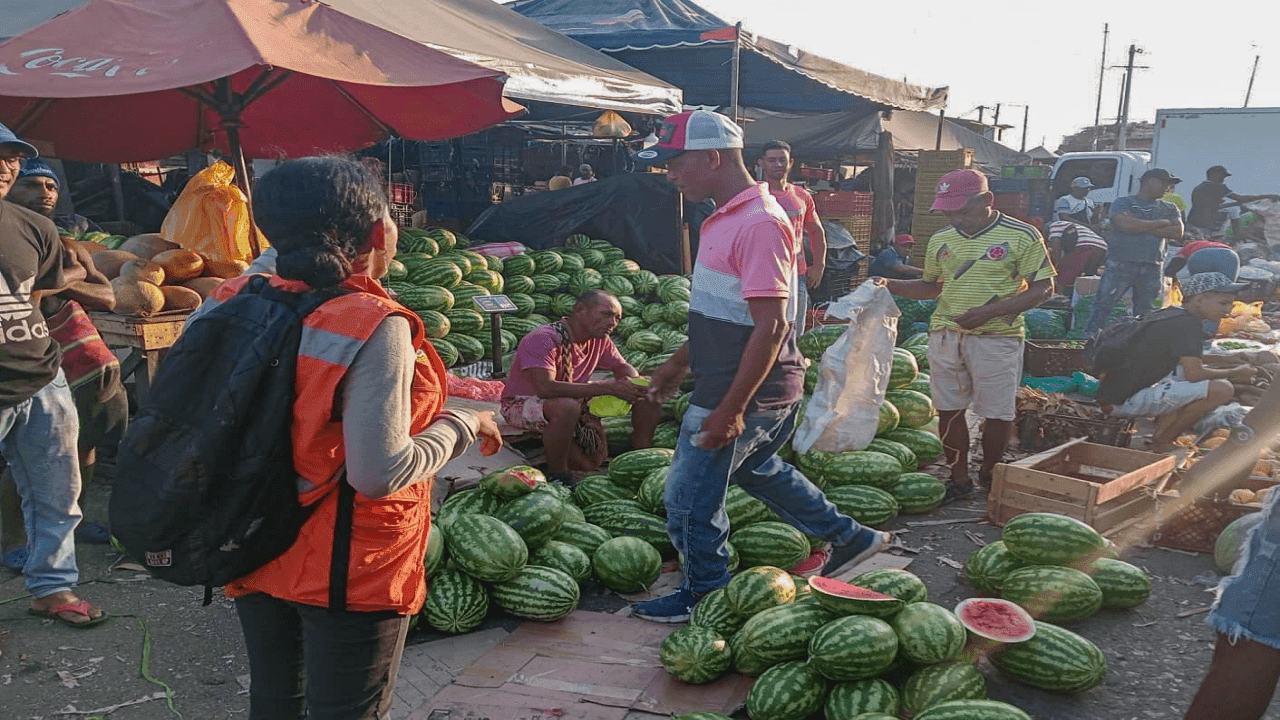 Imágenes del Mercado de Bazurto en Cartagena. Foto Cortesía. Imágenes del Mercado de Bazurto en Cartagena. Foto Cortesía.