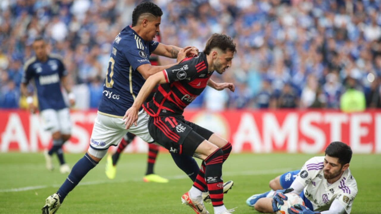 Flamengo en Colombia Flamengo en Colombia