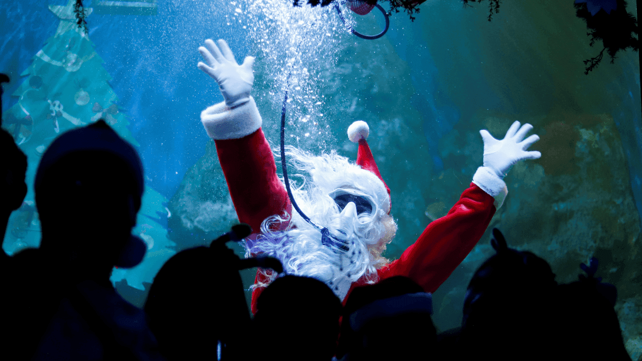 Papá Noel Buzo en Guadalajara