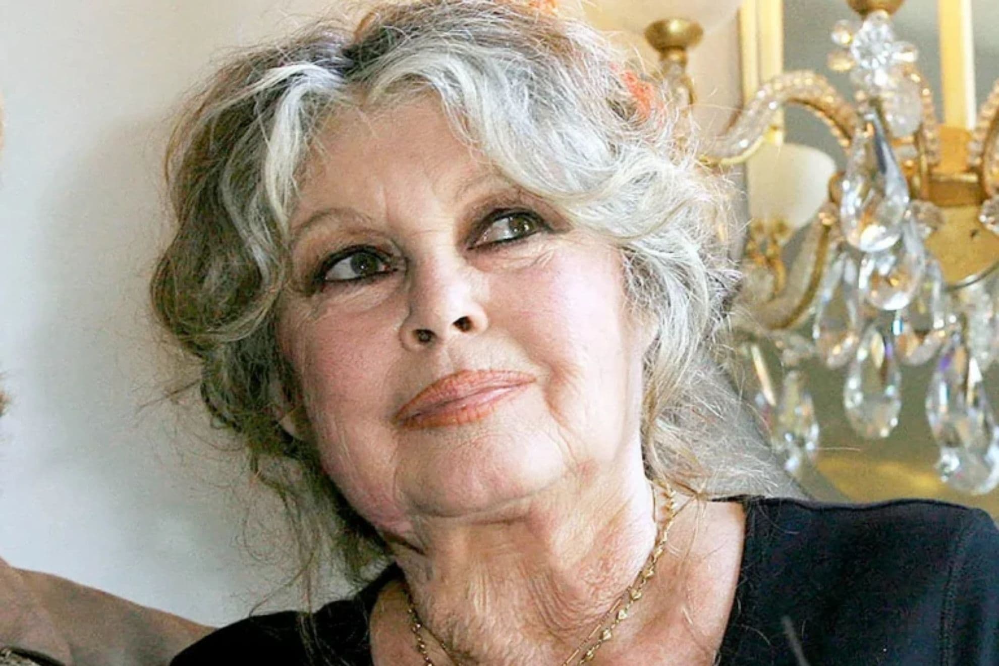Brigitte Bardot