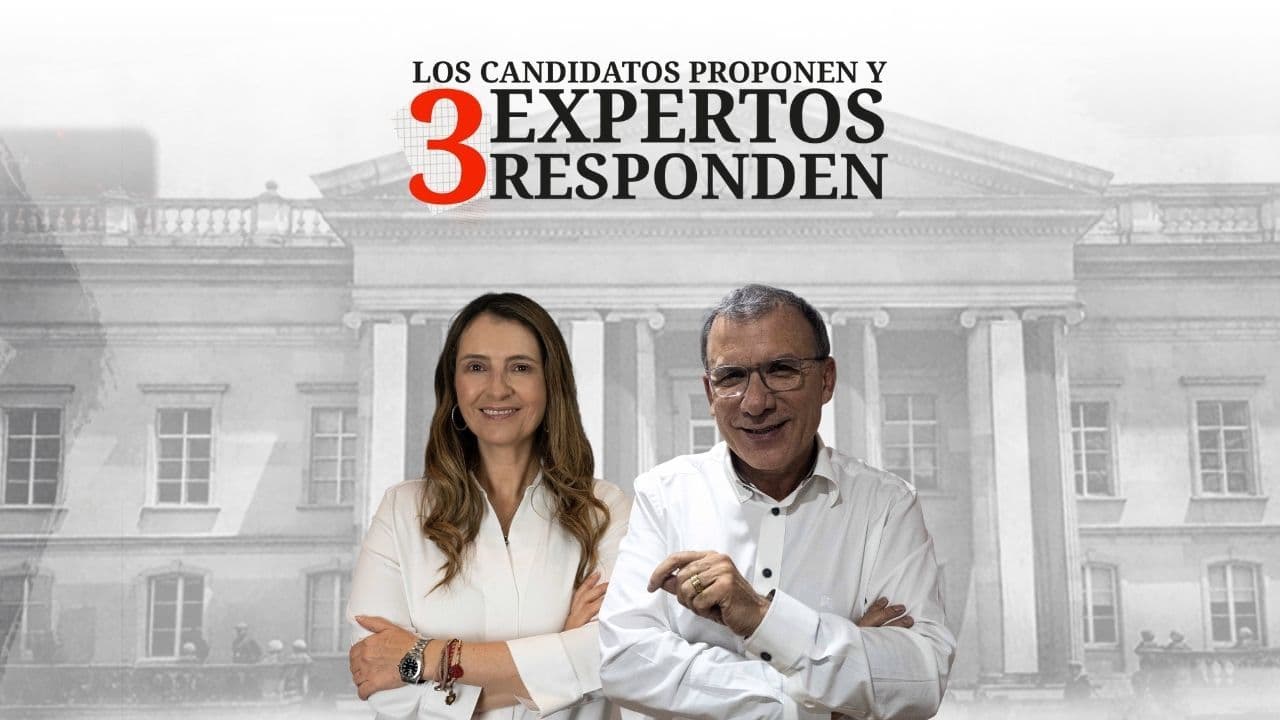 EXPERTOS VICEPRESIDENTES