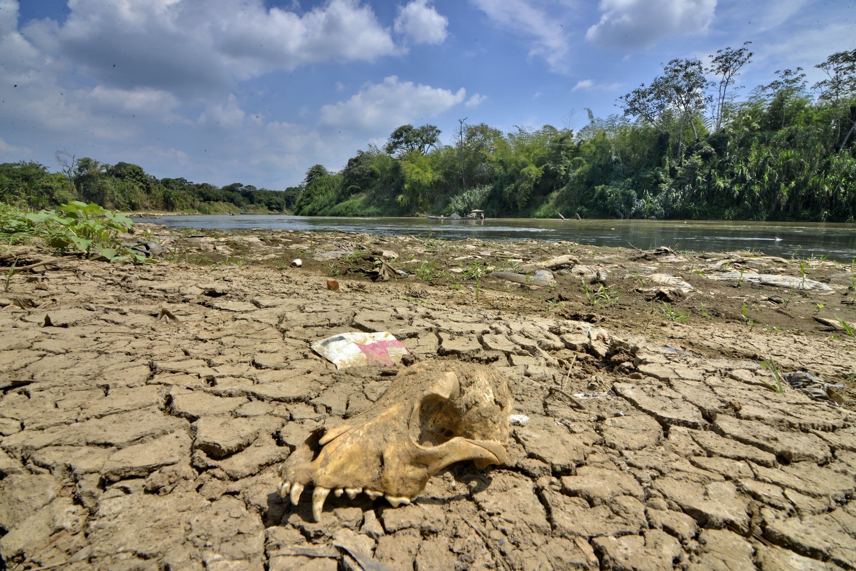 Autoridades ambientales alertan por posible fenómeno de El Niño