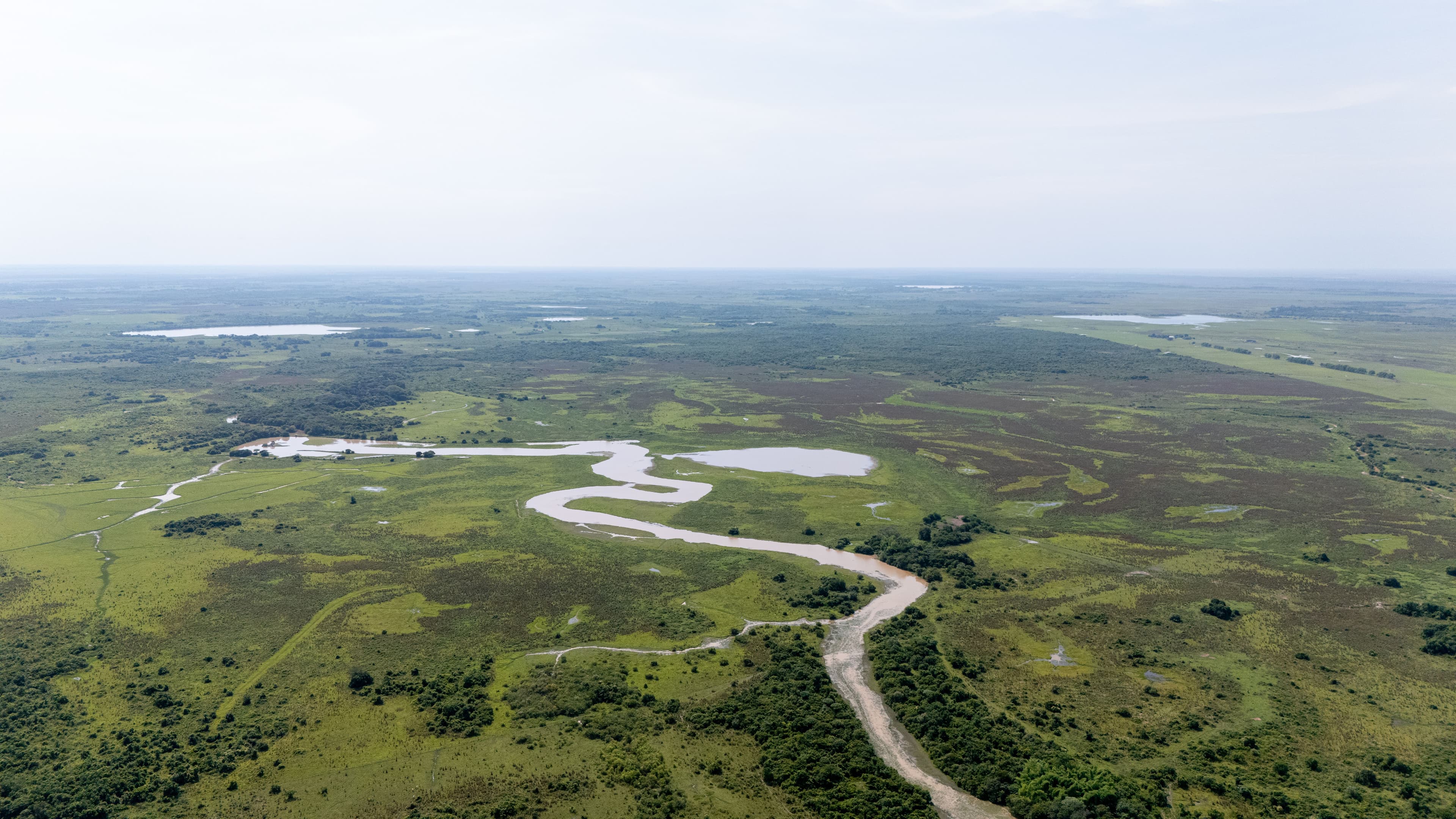 Los llanos de Paz de Ariporo Los llanos de Paz de Ariporo