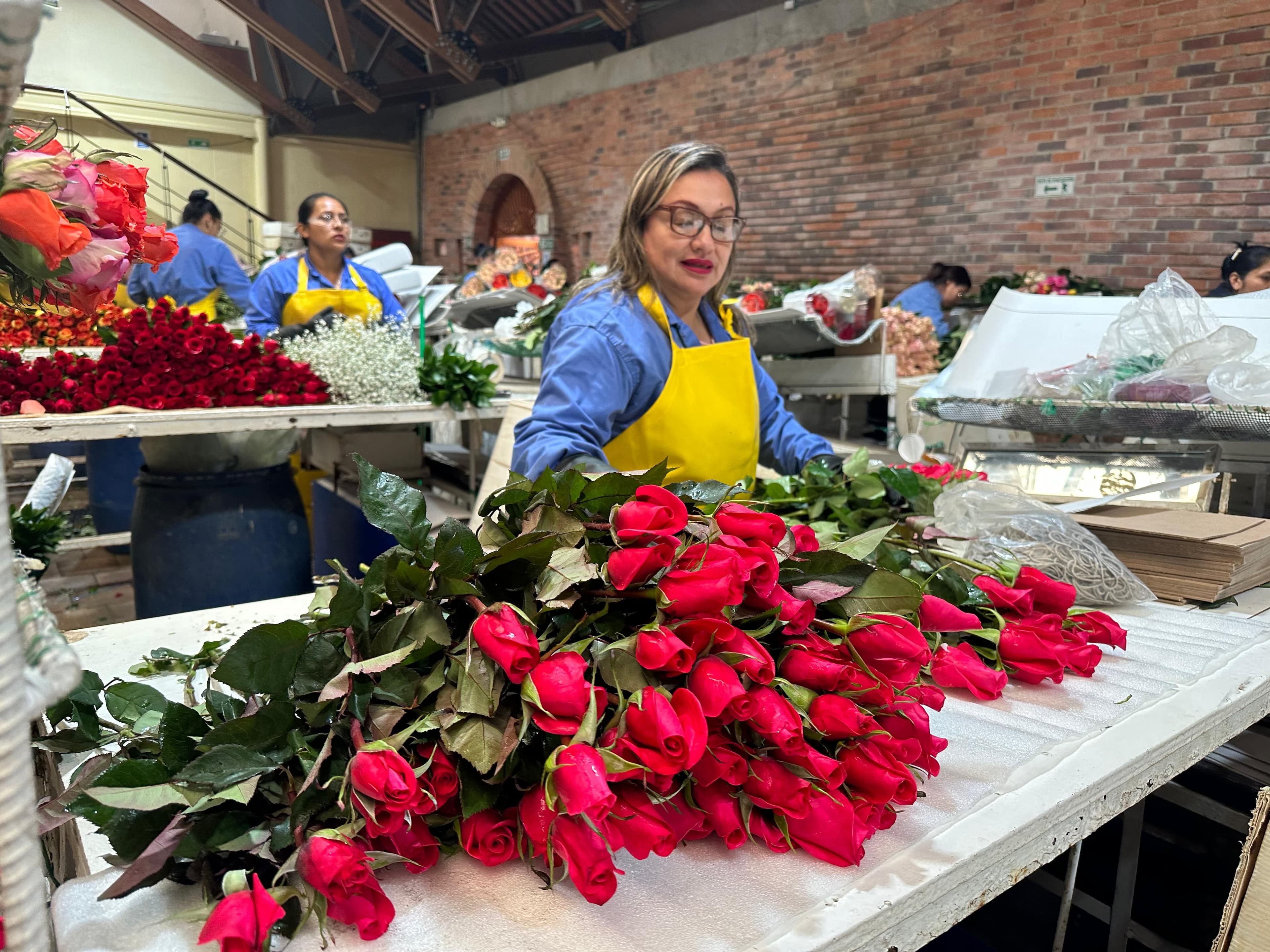 Trabajadores del sector floricultor