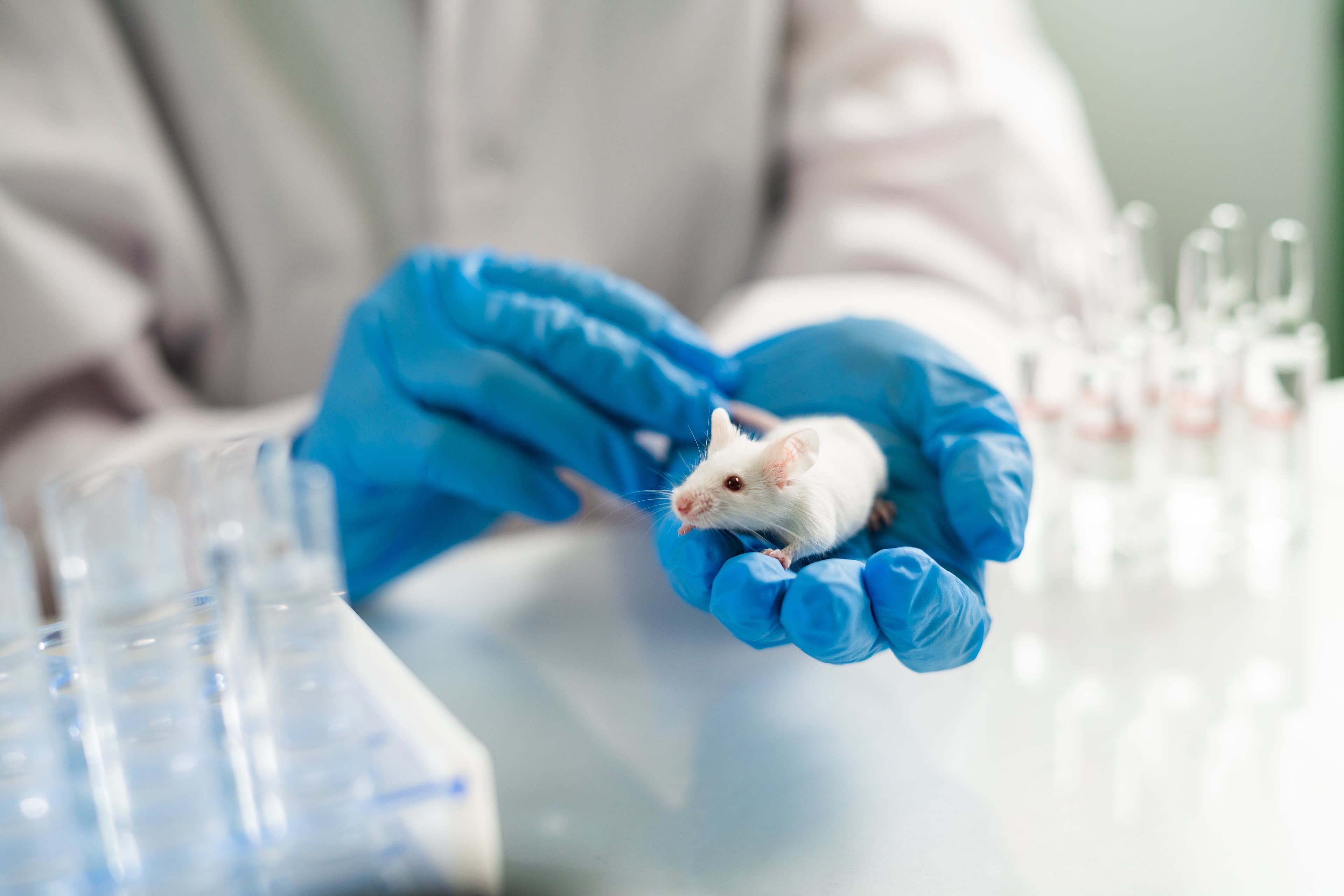 Colombia reglamentó la prohibición del testeo animal