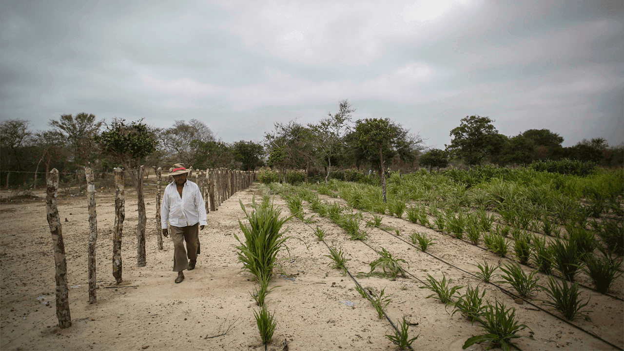 El fenómeno de El Niño