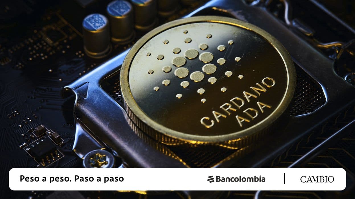 photologuephotos2023-02cardano_principaljpg