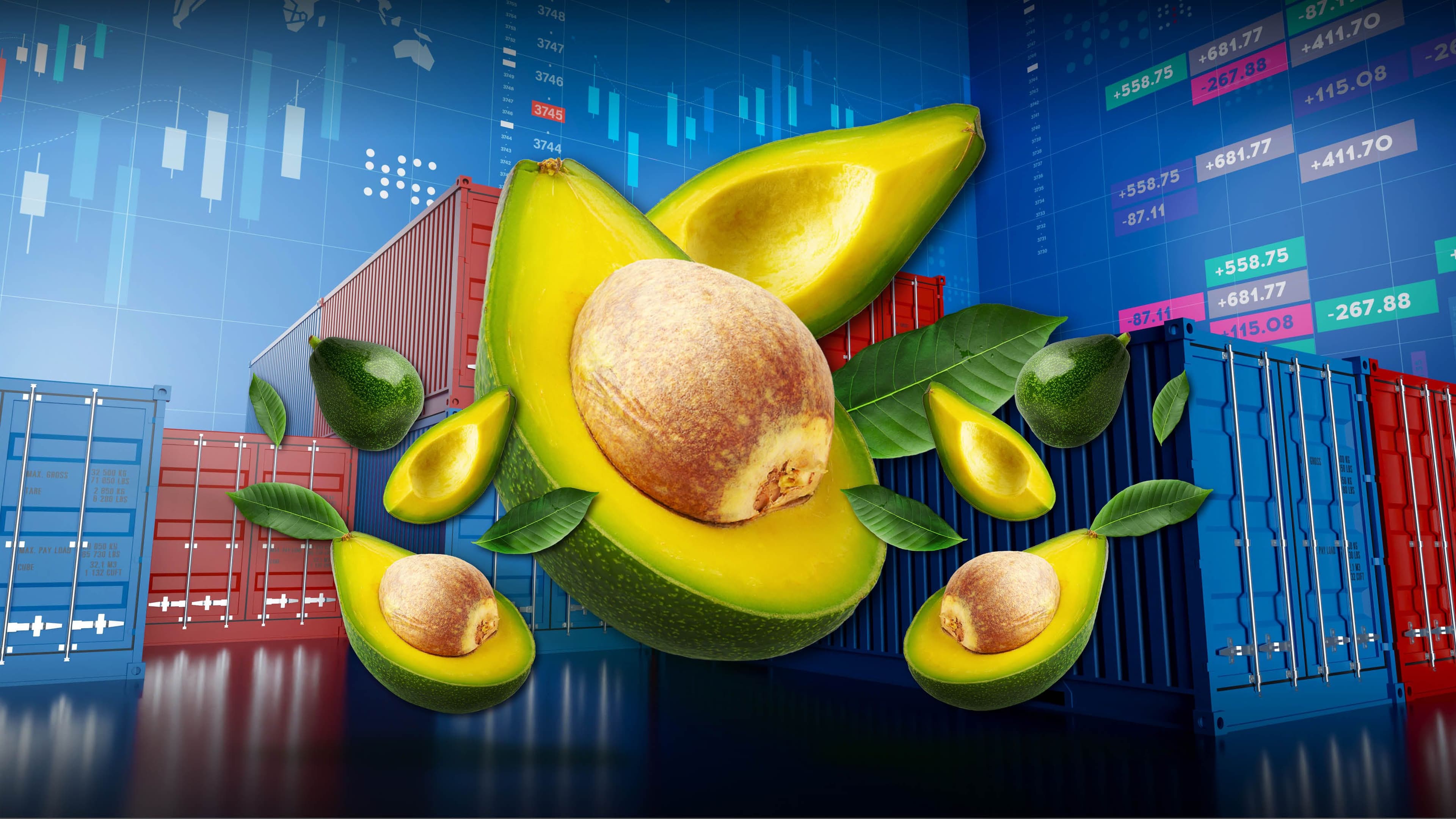 photologuephotos2023-03aguacates-exportacionesjpg