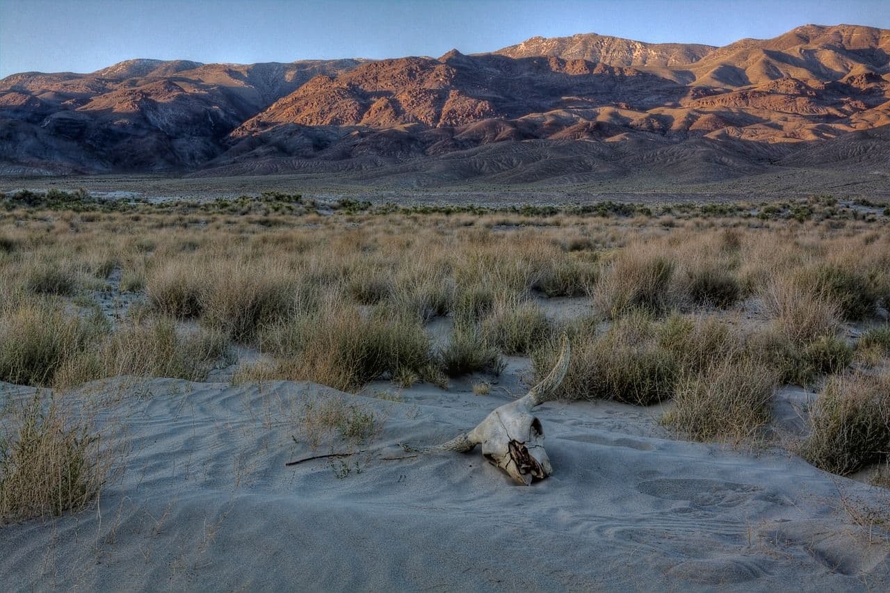 photologuephotos2023-02dunes-g3930eb636_1280jpg