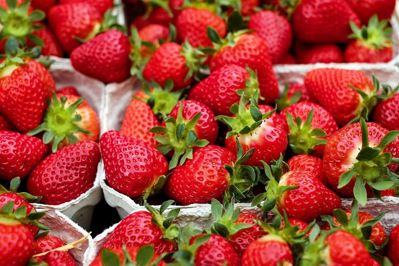 photologuephotos2023-04strawberries-ga99305404_1280jpg
