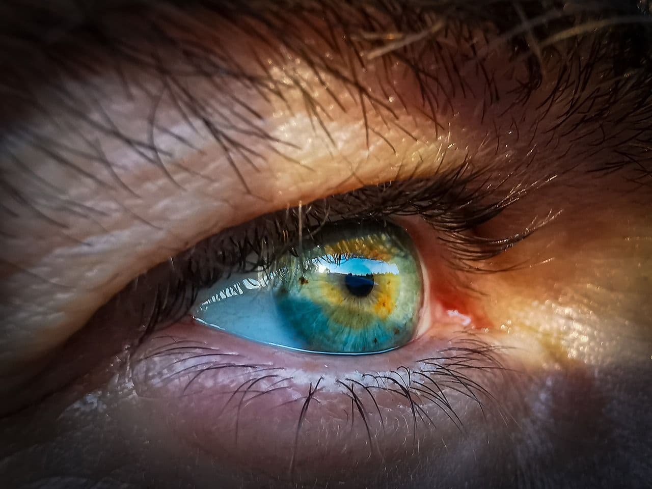 photologuephotos2023-03retina-ocular-alzheimer_0jpg