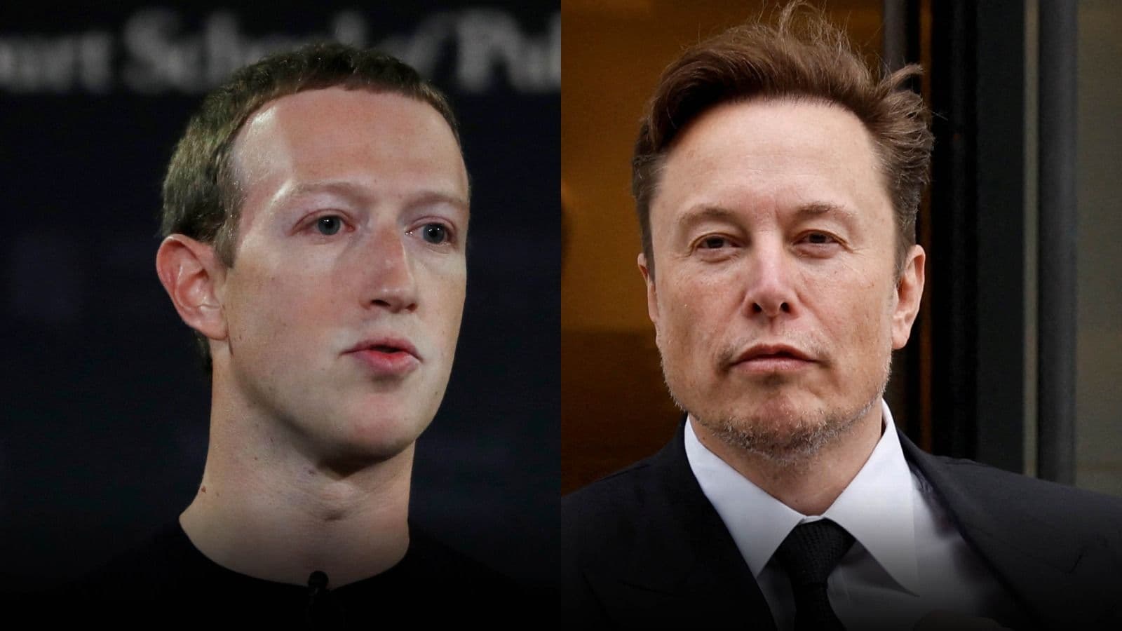 photologuephotos2023-08elon_musk_pelea_con_zuckerbergjpg