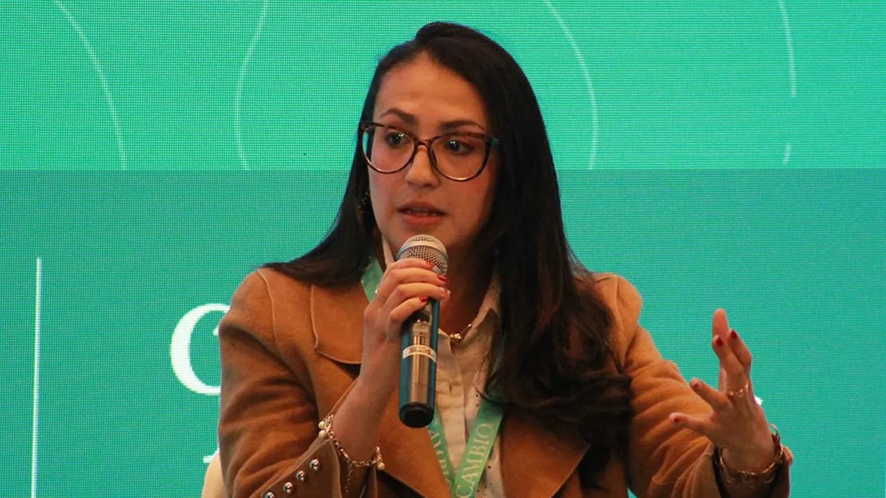 ‘Si las empresas crecen, aumenta el empleo formal’: directora de Acopi