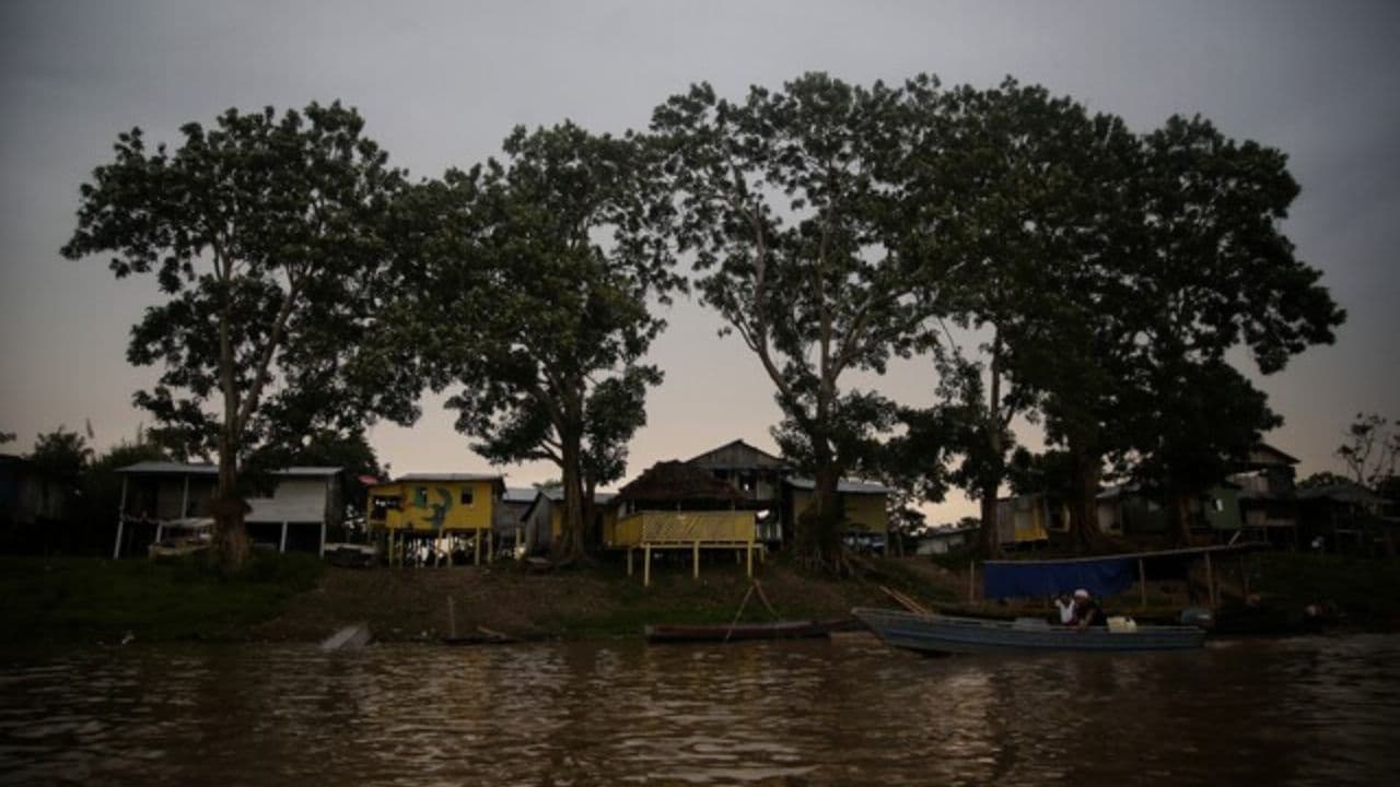 amazonas_isla_de_micos_0.jpg amazonas_isla_de_micos_0.jpg