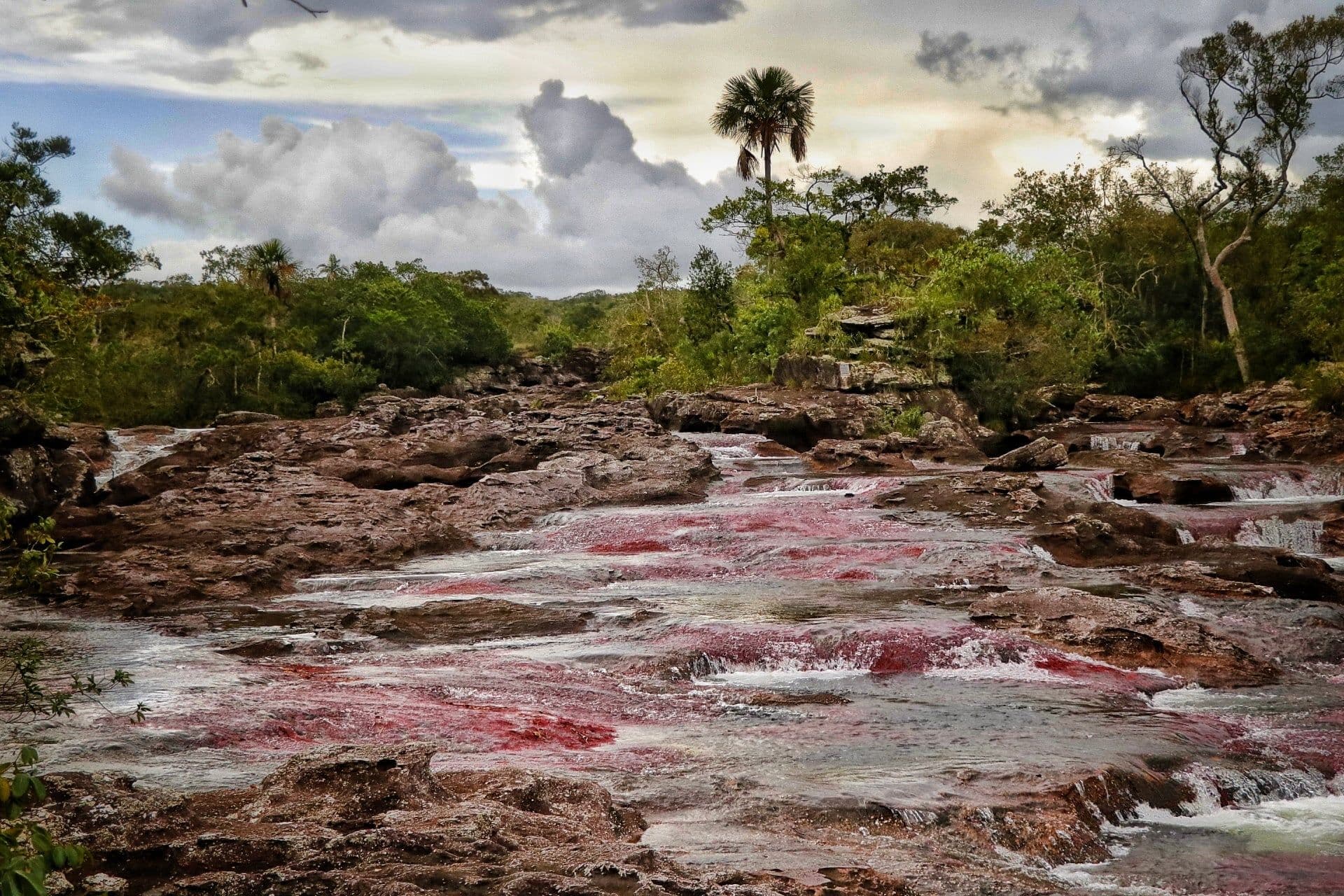 Gobernación Meta Caño Cristales Gobernación Meta Caño Cristales