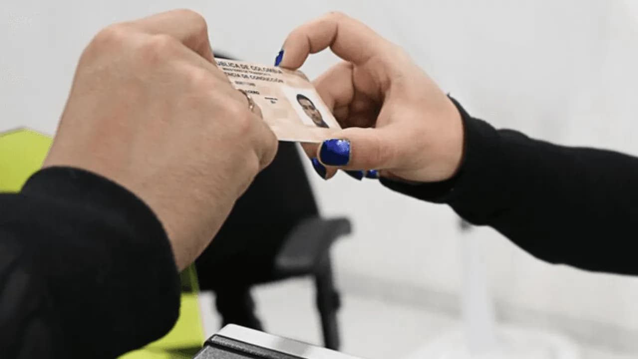 photologuephotos2024-02licencia_de_conducirpng photologuephotos2024-02licencia_de_conducirpng