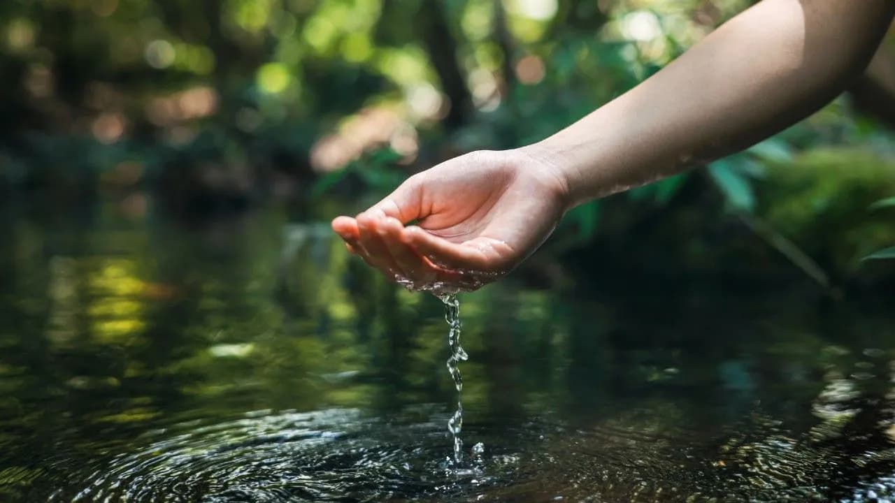 photologuephotos2024-02hand-touches-water-pondjpg photologuephotos2024-02hand-touches-water-pondjpg