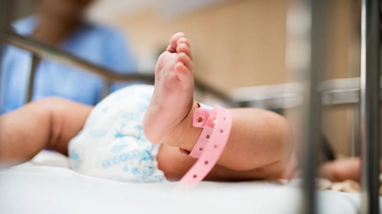 photologuephotos2024-03newborn-baby_1jpg photologuephotos2024-03newborn-baby_1jpg