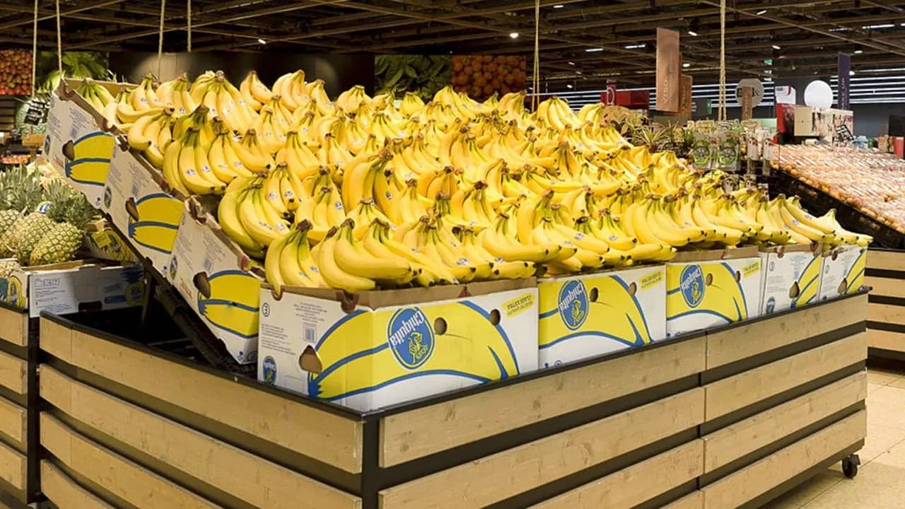 photologuephotos2024-06chiquita-brands-masacre-bananerasjpeg photologuephotos2024-06chiquita-brands-masacre-bananerasjpeg