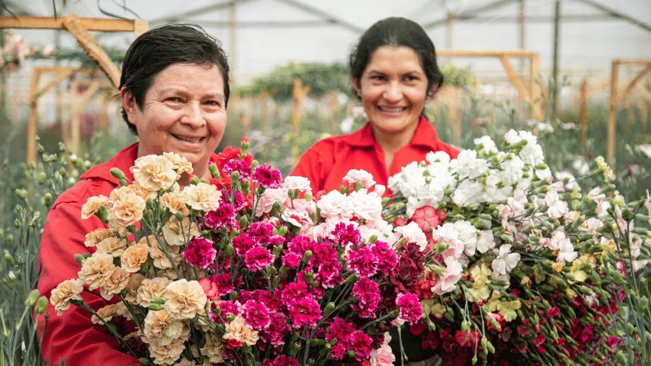photologuephotos2024-05el_viaje_de_las_flores_colombianas_a_las_madres_de_mas_de_cien_paisespng photologuephotos2024-05el_viaje_de_las_flores_colombianas_a_las_madres_de_mas_de_cien_paisespng